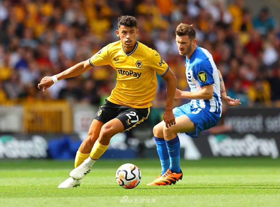 更多具体的 更多具体的